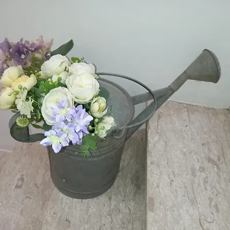 Antico Vicolo - Giulia